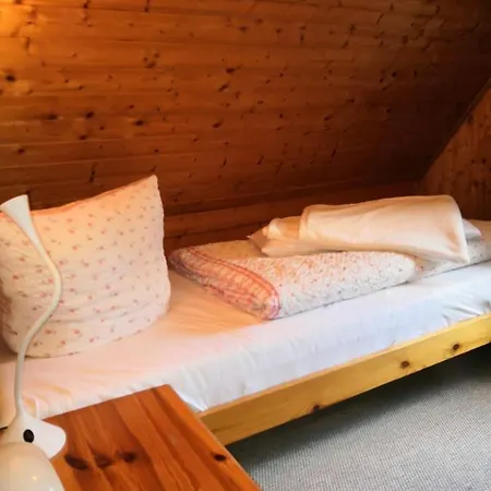 Appartement Haus Fessel - Zeterklippe à Elend Extérieur photo