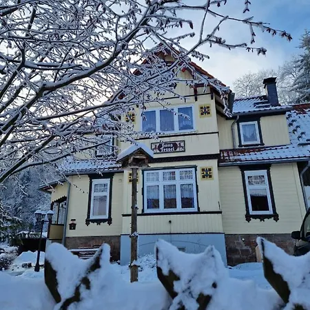 Appartement Haus Fessel - Zeterklippe à Elend Extérieur photo